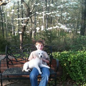 Meet your Posher, Amy